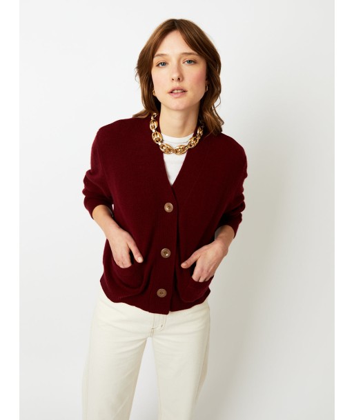 CARDIGAN LOU VELOURS offre 