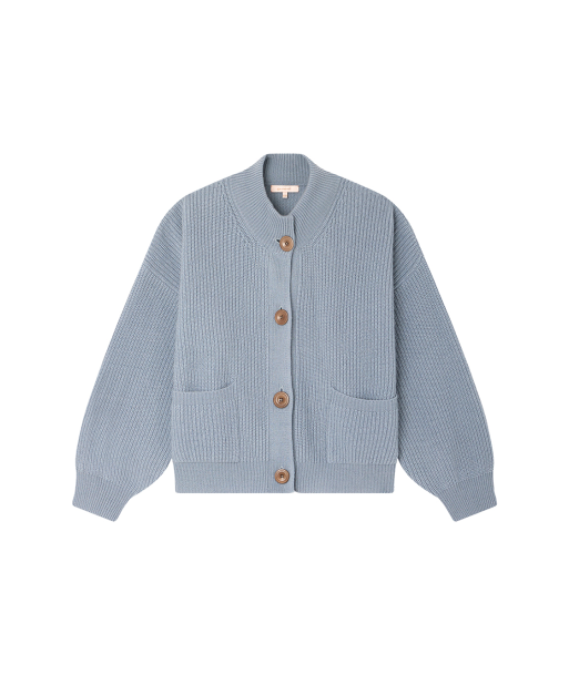 CARDIGAN ROY BLEU GRISE Dans la société mordern